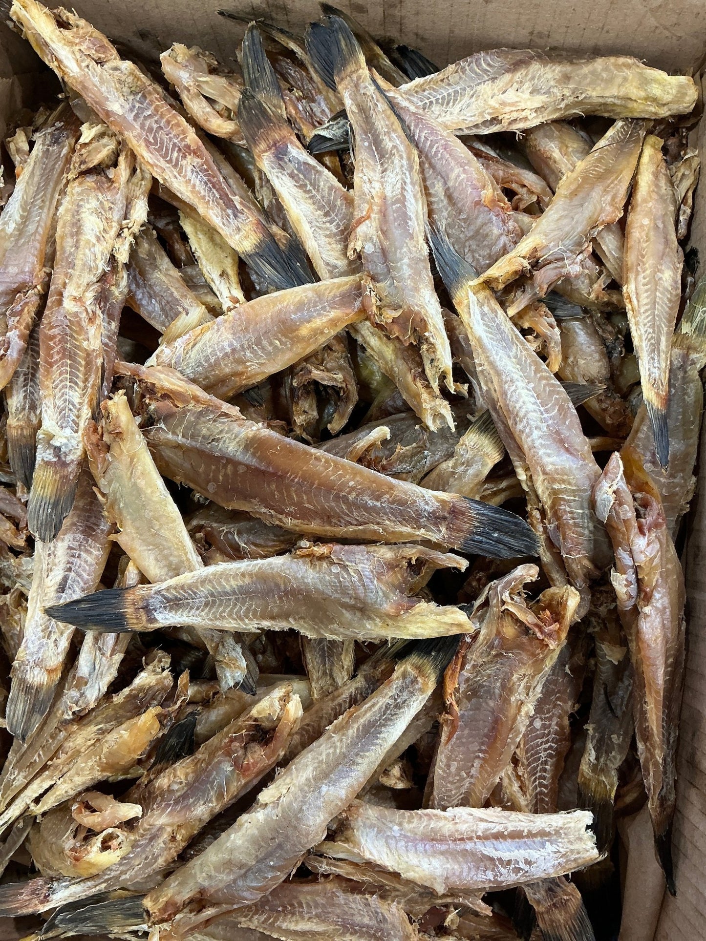 Grundel geschält, getrocknet 100g | Бычок сушеный чищенный